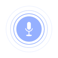 Voice recognition and recording