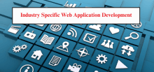 Industry Specific Web Application Development